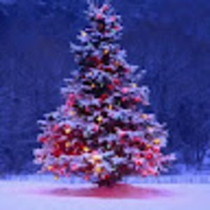 Meet your Posher, Trish